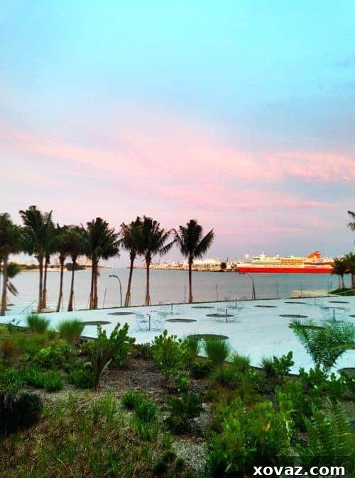 View of the bay in Miami at South Walton Party