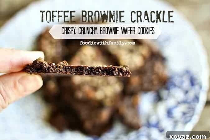 Toffee Brownie Crackle - Homemade Crispy Brownie Wafer Cookies with Chocolate Chips and Toffee
