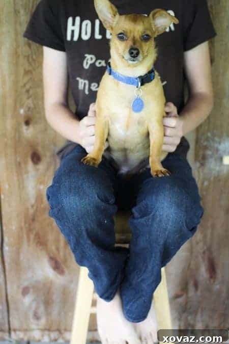 Look, ma! No holes in my jeans thanks to #JCP #JCPAmbassador