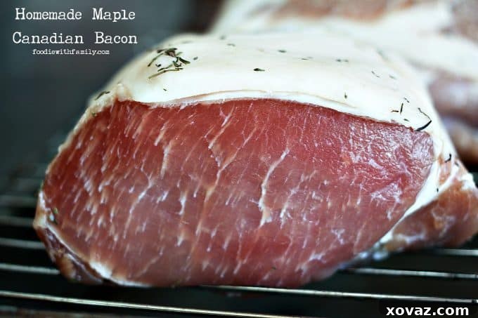 Cured pork loin waiting for cooking to make Homemade Maple Canadian Bacon from foodiewithfamily.com