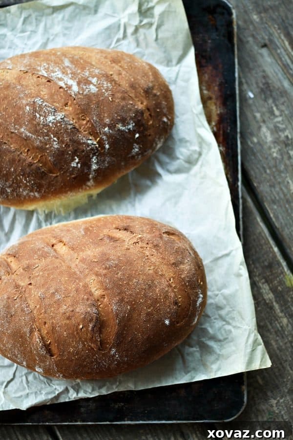 Delicious One-Hour Swedish Limpa Bread with orange zest and fennel seed, perfect for toasting and ready in just 60 minutes.
