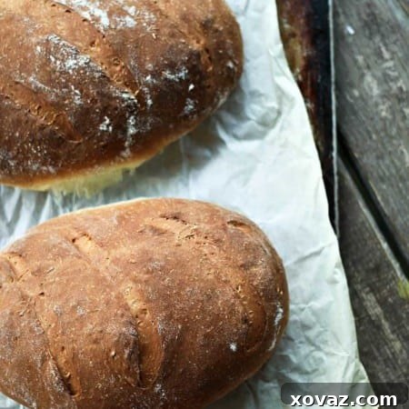 One Hour Swedish Limpa: slightly sweet Swedish rye bread scented lightly with orange zest and fennel seed. This is the ultimate toasting bread and it is made -start to finish- in one hour!
