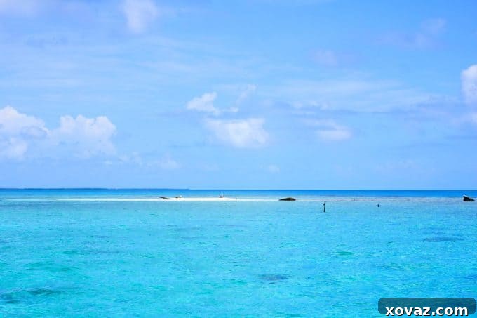 Sargeant's Cay Snorkeling: Cruising on the Carnival Sunshine foodiewithfamily.com