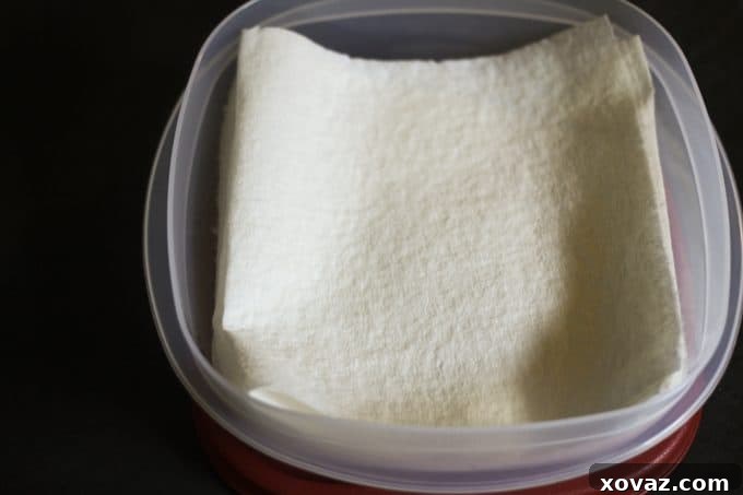 How to make DIY All-Natural Disposable Make-up Removal Towelettes from foodiewithfamily.com