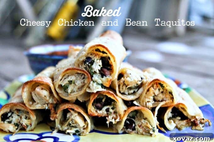 Crispy Baked Cheesy Chicken and Bean Taquitos 3 Crispy Baked Cheesy Chicken and Bean Taquitos, perfect for game day or parties