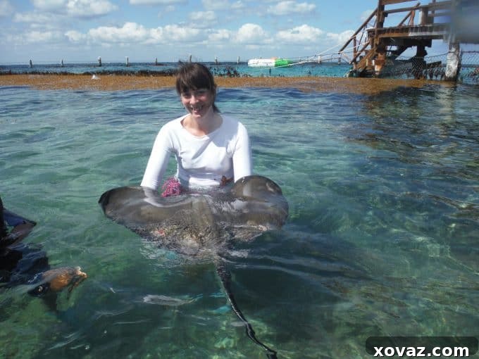 Everybody Loves Rays excursion in Cozumel, Mexico