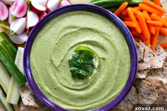 Vibrant Cilantro Jalapeno Hummus 3 Cilantro Jalapeno Hummus with lime from foodiewithfamily.com