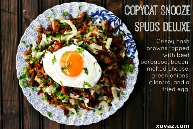 Dreamy Tater Pillows 3 Hash browns with egg cheese beef barbacoa bacon green onions on a plate ready to be eaten