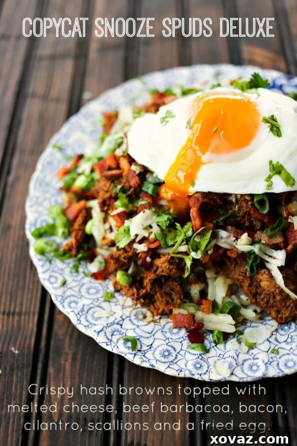 Dreamy Tater Pillows 5 Hash browns with egg cheese beef barbacoa bacon green onions close up