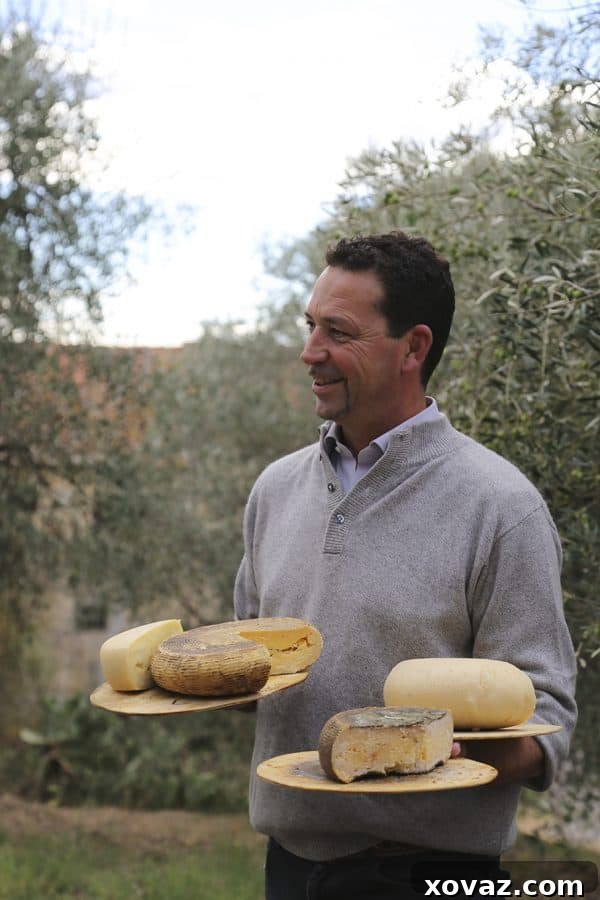 A spread of exquisite Tuscan cheeses and DaVinci Wines, ready for a tasting experience.