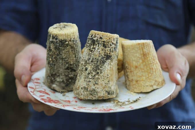 A captivating cheesemaking demonstration outdoors, providing an authentic cultural experience.