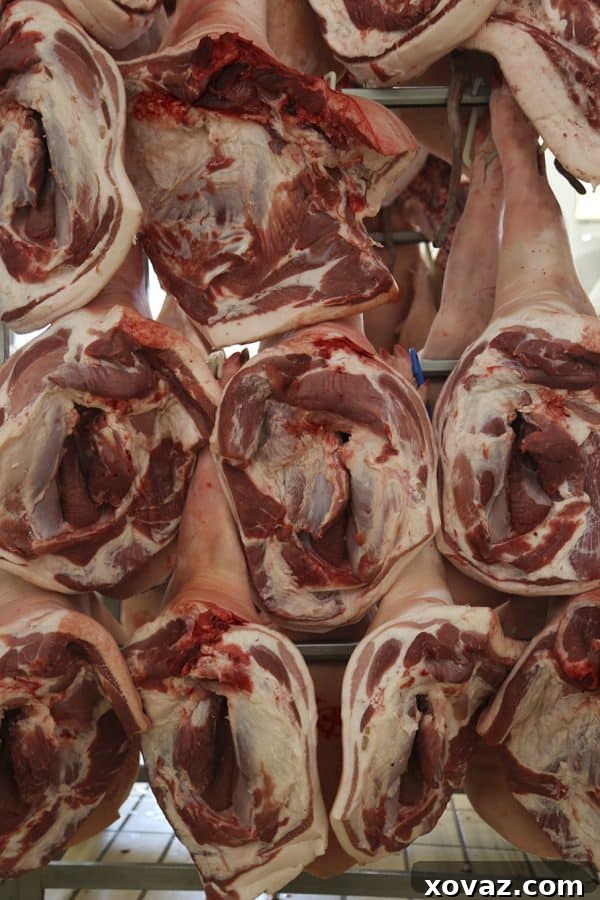 A selection of high-quality cured meats at Macelleria Falaschi, showcasing Tuscan culinary excellence.