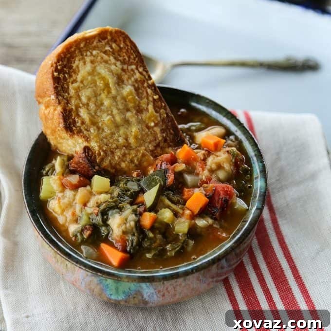 A beautiful top-down shot of a bowl of Ribollita Tuscan Vegetable Bean Soup, garnished with fresh basil, showcasing its hearty and wholesome nature.