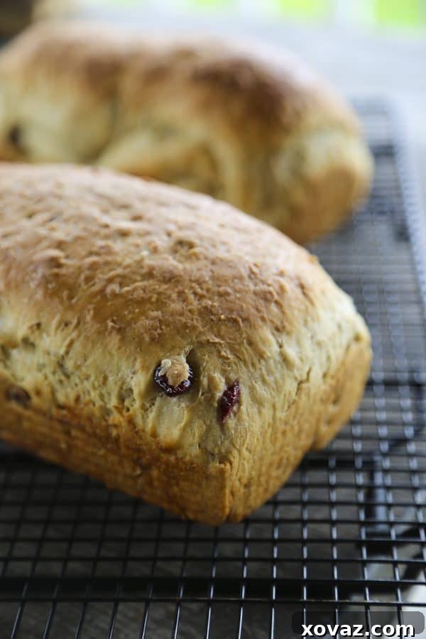Muesli Granola Bread 4 Muesli Toasting Bread - Granola Toasting Bread from foodiewithfamily.com
