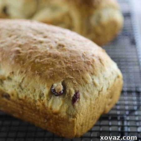 Muesli Granola Bread 5 Muesli Toasting Bread - Granola Toasting Bread from foodiewithfamily.com