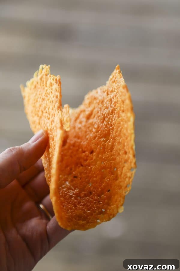 Variety of fillings in homemade Pure Cheese Taco Shells, showcasing their versatility