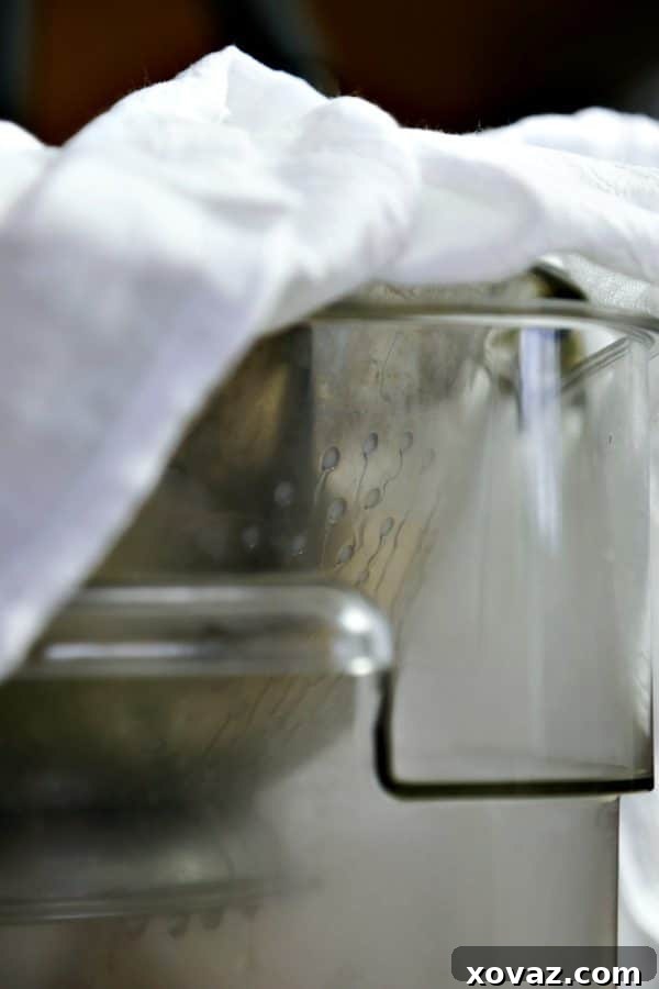 Crafting Authentic Icelandic Skyr at Home 4 Super creamy, silky smooth, low fat, high protein, inexpensive, and easy as can be is homemade Icelandic Yogurt or Siggi's Copycat.