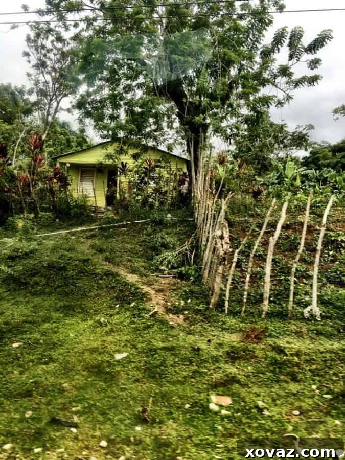 The Dominican Republic with Fathom Cruises