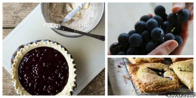 New York Grape Pie Filling and Mini Grape Hand Pies from Not Your Mama's Canning Book by Rebecca Lindamood aka Foodie with Family