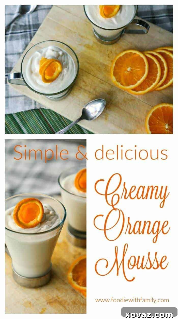 Sunshine Orange Mousse 5 A final full-frame image of Creamy Orange Mousse, beautifully garnished and ready to be enjoyed. A perfect, light dessert.