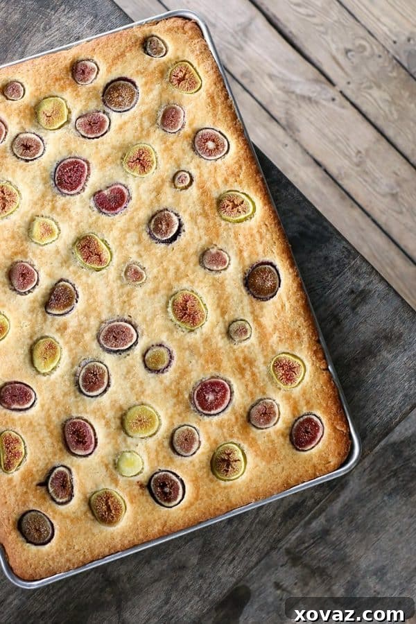 Simple buttery, vanilla Fig and Honey Snack Cake celebrates the brief glory of fresh figs!