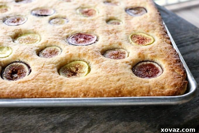 Simple buttery, vanilla Fig and Honey Snack Cake celebrates the brief glory of fresh figs!