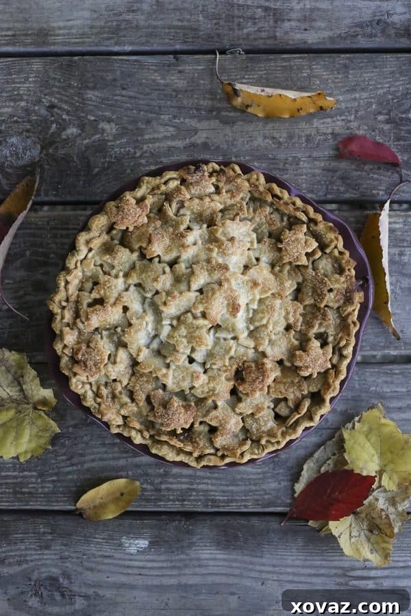 Chai-Spiced Maple Apple Pie 3 Close-up of the golden, sugar-crusted top of a Maple Chai Apple Pie, revealing the intricate leaf-shaped crust design.