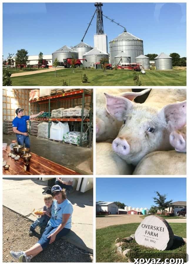 Where the Falls Meet the Plains 3 Overskei Farm, South Dakota, part of Pipestone Veterinary System.