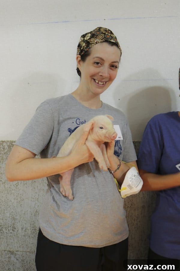 Where the Falls Meet the Plains 5 Adorable piglets in Sioux Falls, South Dakota.