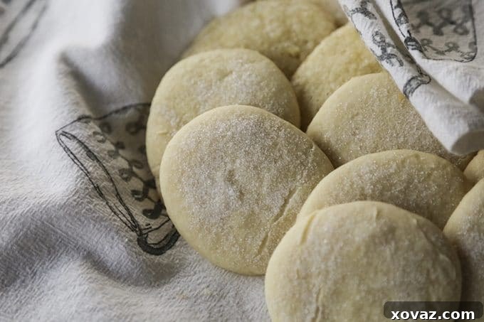 Pillowy soft and tender Legendary Sugar Cookies, dusted with sugar, embodying an old-fashioned holiday treat.