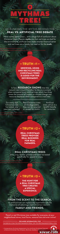 Infographic detailing the environmental and economic benefits of choosing a real Christmas tree over an artificial one.