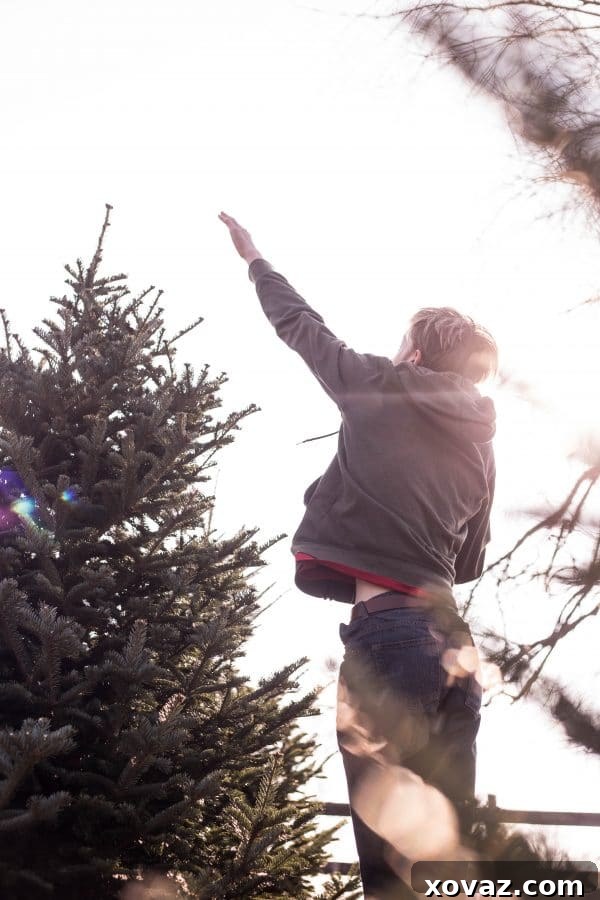 A family enjoys the process of choosing a fresh Christmas tree at Stokoe Farms, with abundant evergreens in the background.