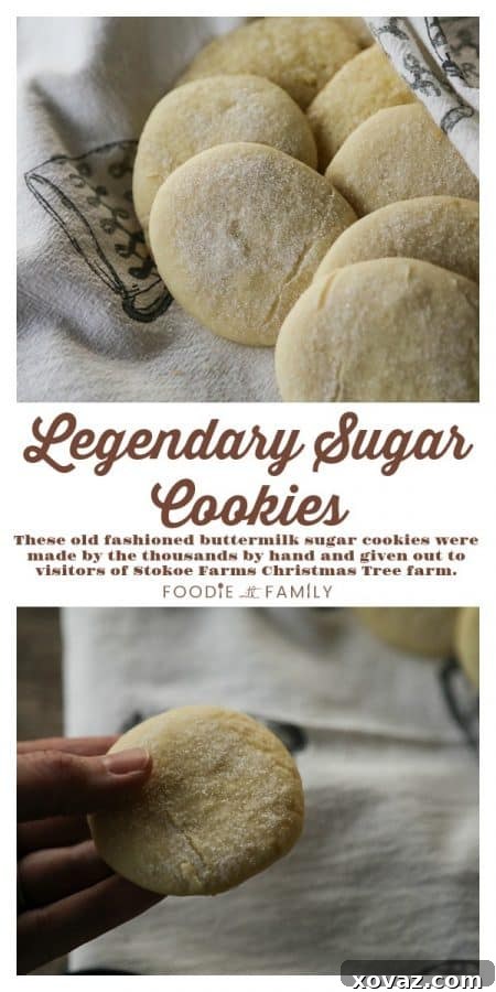 The finished Legendary Sugar Cookies from Stokoe Farms, soft, fluffy, and perfectly baked for the holidays.