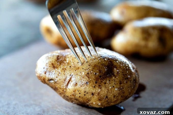 Mastering the Perfect Baked Potato 4 Clean, dry Russet potatoes ready for oil and seasoning.