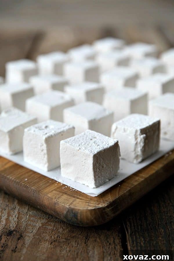 Beyond the Cob: The Astonishing Uses of Corn 3 Fluffy homemade marshmallows, light as air and made with corn syrup, offering a customizable and delicious treat.