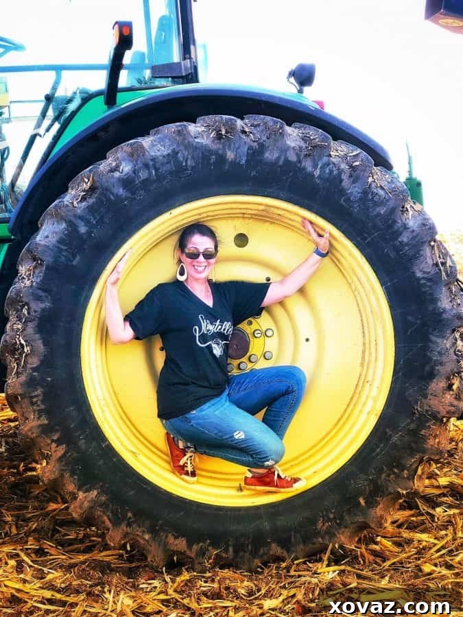 Beyond the Cob: The Astonishing Uses of Corn 4 A vibrant infographic showcasing the diverse applications of corn, from everyday food items to advanced industrial uses.