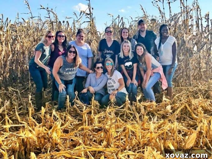 Beyond the Cob: The Astonishing Uses of Corn 9 A vibrant aerial shot of cultivated cornfields, showcasing the vast scale of corn production in Iowa.