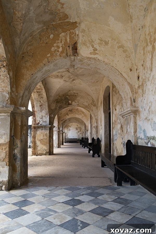 Princess Cruises Caribbean Princess San Juan Walking Tour March 2019