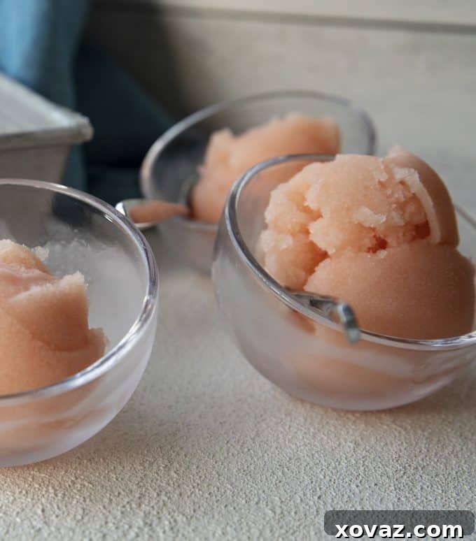 Crisp, refreshing, smooth and silky in texture, this grapefruit sorbet makes a great dessert by itself or cocktail when doused with a shot of gin or vodka.
