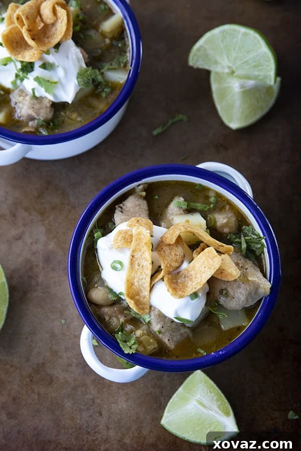 Hearty Pork Green Chili 4 Pork Green Chili in a serving bowl, ready for garnishing. Focus on the rich texture and vibrant colors.