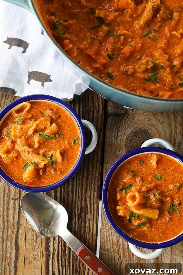 Wegmans-Inspired Lasagna Soup at Home 6 img 28689 5