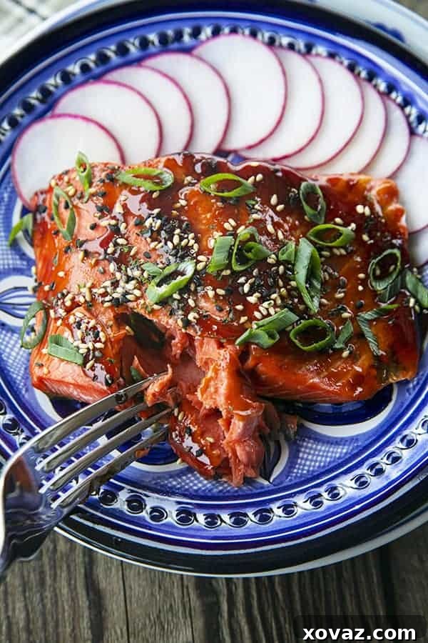 Glazed Salmon with sesame seeds and green onions, radishes, on a blue and white plate