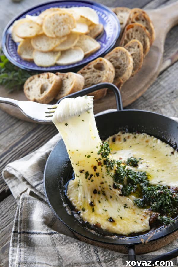 Provoleta: Golden Melted Cheese 2 Provoleta -or Fried Cheese- is a delicious Argentinian cheese dish of pan-fried provolone cheese with crushed red pepper flakes and delicious garlic and herb chimichurri. An easier and more enticing appetizer simply doesn't exist!