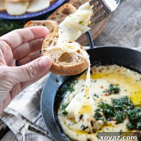 Provoleta -or Fried Cheese- is a delicious Argentinian cheese dish of pan-fried provolone cheese with crushed red pepper flakes and delicious garlic and herb chimichurri. An easier and more enticing appetizer simply doesn't exist!