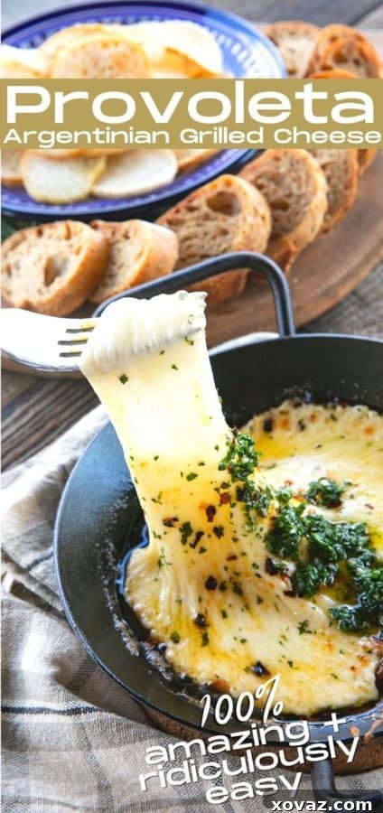 Provoleta: Golden Melted Cheese 9 Provoleta -or Fried Cheese- is a delicious Argentinian cheese dish of pan-fried provolone cheese with crushed red pepper flakes and delicious garlic and herb chimichurri. An easier and more enticing appetizer simply doesn't exist!