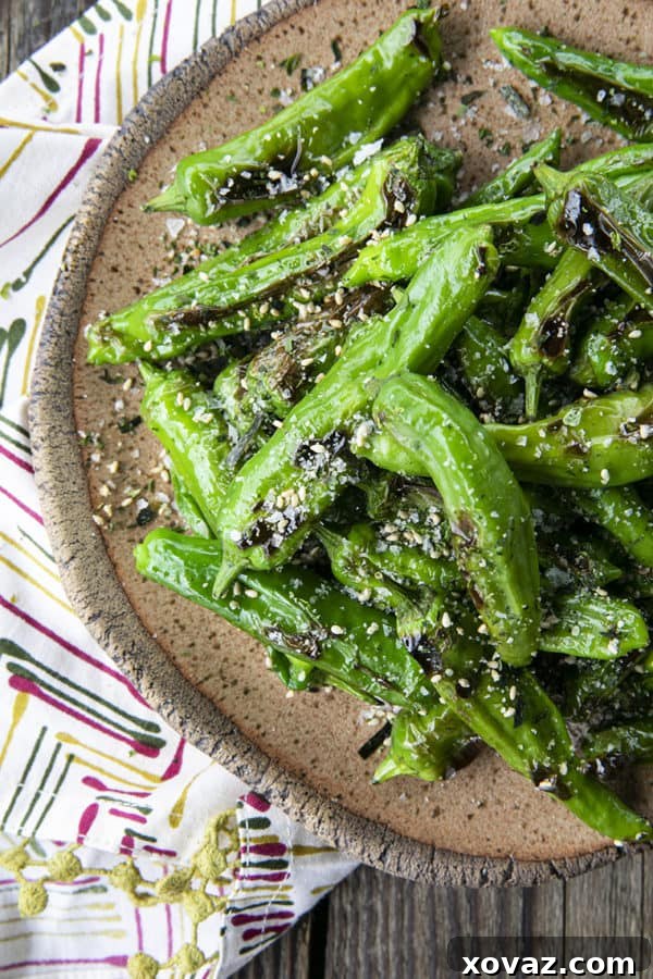 This quick and easy method will teach you how to cook shishito peppers perfectly and easily. With this shishito peppers recipe under your belt, these savoury, deliciously addictive blistered shishito peppers will become a favourite side dish or snack with beer and cocktails!