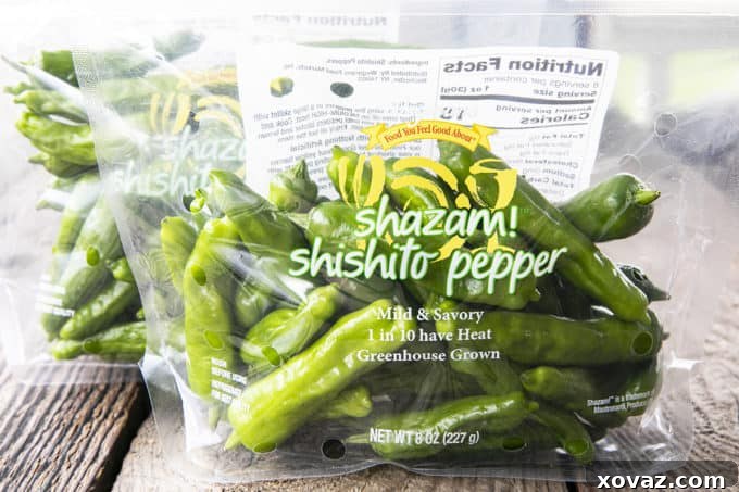 his quick and easy method will teach you how to cook shishito peppers perfectly and easily. With this shishito peppers recipe under your belt, these savoury, deliciously addictive blistered shishito peppers will become a favourite side dish or snack with beer and cocktails!