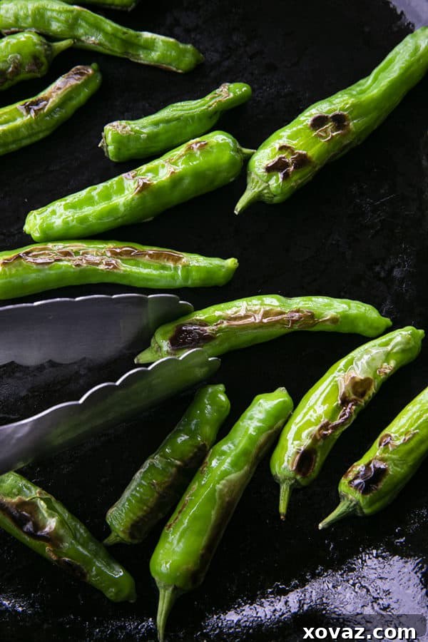 his quick and easy method will teach you how to cook shishito peppers perfectly and easily. With this shishito peppers recipe under your belt, these savoury, deliciously addictive blistered shishito peppers will become a favourite side dish or snack with beer and cocktails!