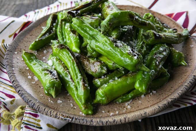 his quick and easy method will teach you how to cook shishito peppers perfectly and easily. With this shishito peppers recipe under your belt, these savoury, deliciously addictive blistered shishito peppers will become a favourite side dish or snack with beer and cocktails!