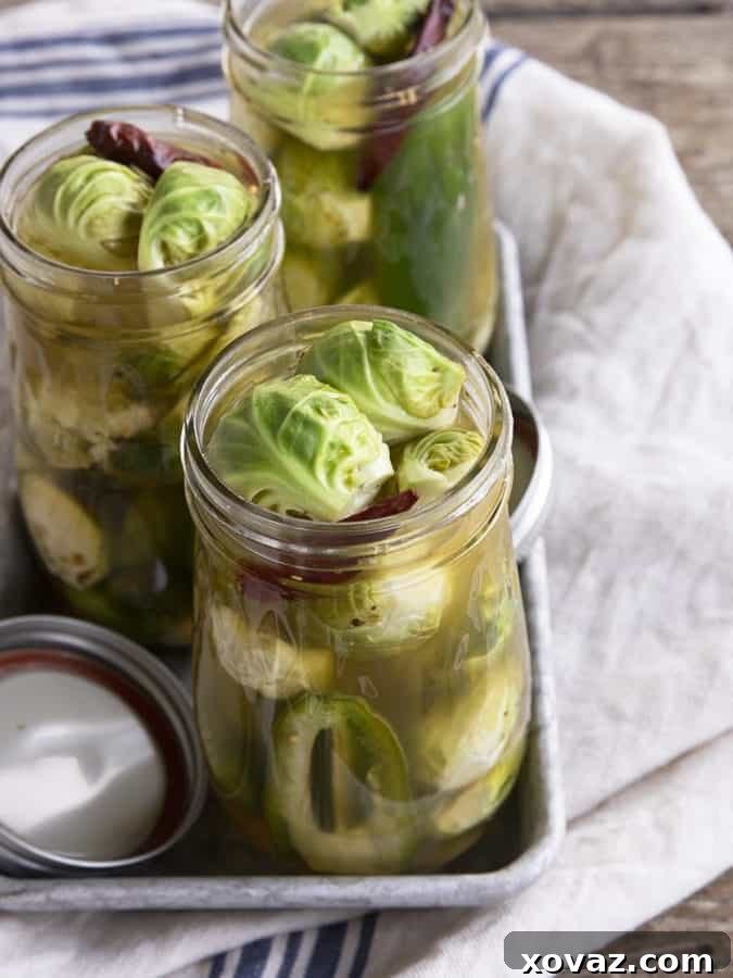 Zesty Brussels Delights 2 Crisp, tangy, and garlicky Pickled Brussels Sprouts ready to be enjoyed as a snack or on a charcuterie board.